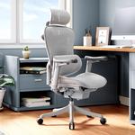 Эргономичное кресло SIHOO C100 Premium Edition Cloud White - фото