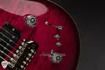 PRS Paul Reed Smith Eddie's Guitars Wood Library Special полузакрытая с фантазийным грифом из палисандра - Angry Larry - фото 16