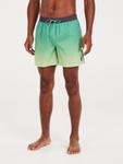 Шорты для серфинга PROTEST PRTERIN, зеленый - фото 4