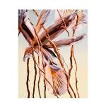 Эссенция Man Terrae 100 мл Bvlgari - фото 4