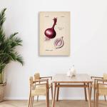 Картина арт-принт KUNSTLOFT Onion, бежевый - фото 2