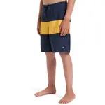 Everyday Panel 17" Quiksilver Детские плавательные шорты, цвет Rosa - фото 3