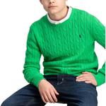 Детский свитер Polo Ralph Lauren, зеленый - фото 8