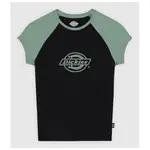 Футболка с коротким рукавом Dickies Forth Shaw Raglan, черный - фото 3