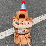 Плюшевая кукла Capybara Bouquet Dolls высотой 32 см Whoops - фото 7