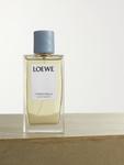 Аромат для дома - Кипарисовые шарики, 150мл Loewe Perfumes, синий - фото