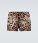 Плавки с леопардовым принтом Dolce&Gabbana, Leopard - фото