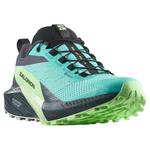 Кроссовки Salomon Sense Ride 5 Goretex Trail, синий - фото 4