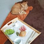 Одеяло Zollner 00000047, 150x1x200 см, коричневый - фото 2