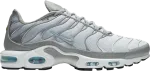 Кроссовки Nike Air Max Plus 'Light Smoke Grey Glacier Ice', серый - фото