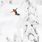 Сноуборд Lib Technologies Lib Rig Lib Technologies, One Color - фото 4