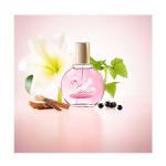 Минута Нью-Йорка 100 мл Vanderbilt - фото 3