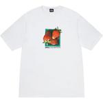 Футболка Berries Stussy, синий - фото 8