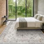 Ковёр Hazo Haus для гостиной, 305х427 см, светло-серый - фото 3