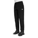 Повседневные брюки мужские черные The North Face, черный - фото 3