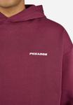 Толстовка Pegador LOGO , Washed Maroon Red/White/Dark Red - фото 5