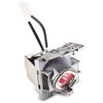 ViewSonic RLC-120 Lamp for Select ViewSonic Projectors RLC-120 - фото