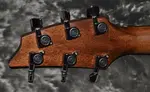 2021 Breedlove - Discovery Концерт - Sunburst - фото 6