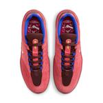 Кроссовки sb vertebrae 'earth noble red' Nike, мультиколор - фото 4