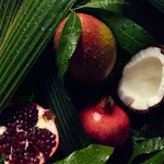 Nutriplenish Легкий увлажняющий шампунь 250 мл Aveda - фото 3