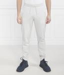 Штаны спортивные Ea7 Regular Fit с логотипом, серый - фото