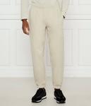 Брюки Regular fit Ea7, желтый - фото