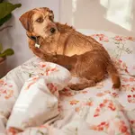 Пододеяльник HappyFriday - фото 3