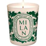 Свечи и восковые пластины Diptyque, 190g - фото