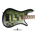 Spector USA NS-2, Haunted Moss / Pau Ferro - фото