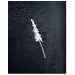 Женская футболка-трико Nikin, Periwinkle - фото 2