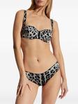 Dolce & Gabbana трусы-брифы с леопардовым принтом, серый - фото 3