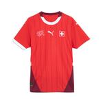 Мужское футбольное джерси Puma, цвет Red - фото