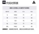 Футболка Palamat Jersey PALACE, белый - фото 2