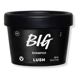 Большой шампунь LUSH - фото