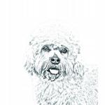 Денди-Динмонт-терьер Карманное зеркальце Inna Marka - фото 2