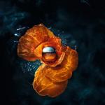 Ночной крем для лица Biotherm, 50 мл - фото 4