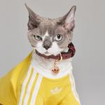 Ошейник Adidas Pet, темно-бордовый - фото 8