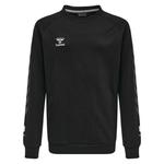 Толстовка Hummel Move Grid Cotton, черный - фото