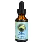 Flower Essence Services, Грецкий орех, цветочная эссенция, 30 мл - фото