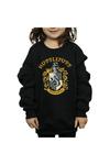 Хлопковая толстовка Хаффлпаффа Harry Potter, черный - фото 5