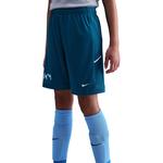 Обычные спортивные штаны NIKE, синий - фото 6