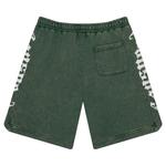 Шорты Godspeed CourtSide Shorts, Green Wash - фото 2