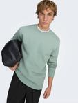 Only & Sons Свитшот 'ONSCONNOR' в цвете Mint - фото 6