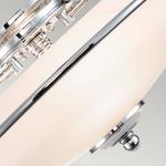 Потолочный светильник Elstead Griffin Typ A, серебро - фото 4