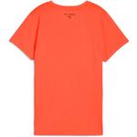 Футболка wx hyrox poly graphic tee Puma, красный - фото 2