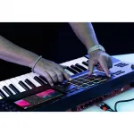 Производственный синтезатор Akai Professional MPC Key 61 - фото 9