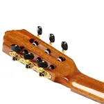 Фламенко-гитара Ortega Family Series Pro Solid Top с чехлом - фото 14