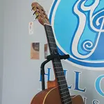 Серия семейства Ortega Pro RCE131 - фото 2