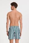 Пляжные шорты REGULAR FIT BROAD STRIPE Shiwi, темно-зеленый - фото 3