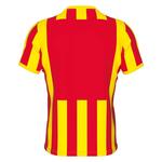 Джерси Errea Strip - фото 2